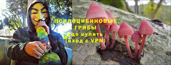 соль ск Артём